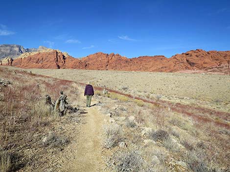 Ride Share Deluxe Loop Trail