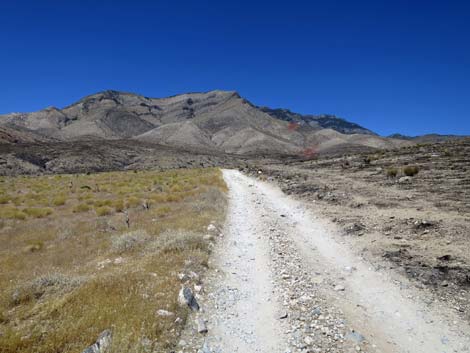 Ninetynine Mine Road