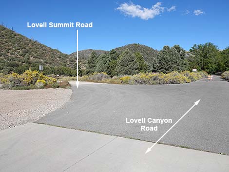 Lovell Canyon Road