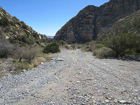 White Rock Loop Trail