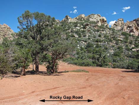 Rocky Gap Road