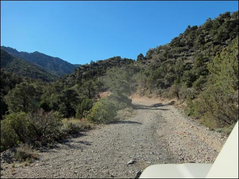 Rocky Gap Road