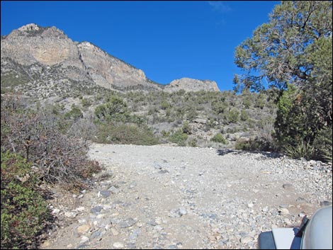 Rocky Gap Road