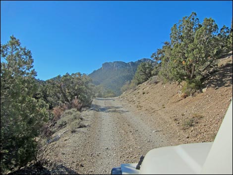 Rocky Gap Road