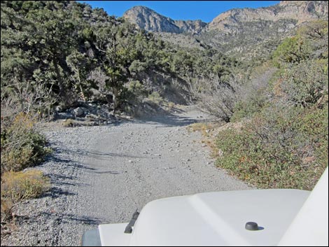 Rocky Gap Road