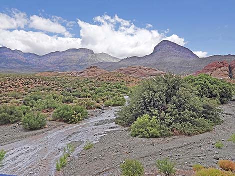 Scenic Loop Road