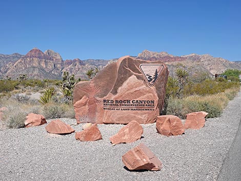Scenic Loop Road