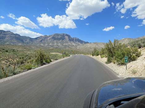 Scenic Loop Road