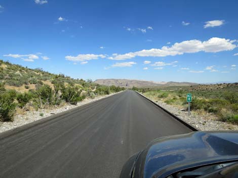 Scenic Loop Road