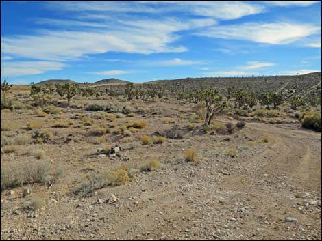 Wilson Tank Overlook Road