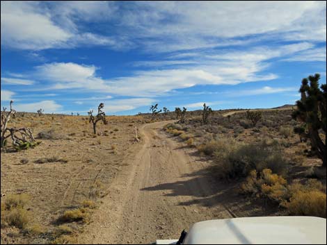 Wilson Tank Overlook Road