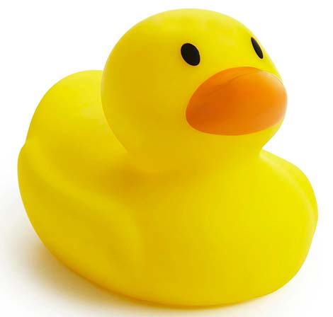 rubber duck