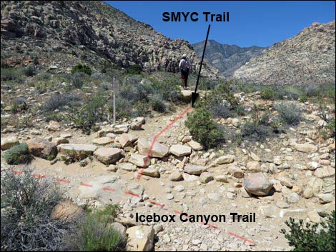 SMYC Trail