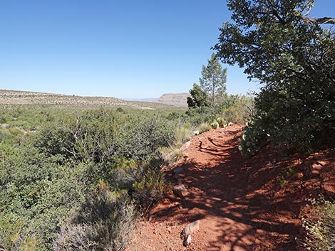 SMYC Trail