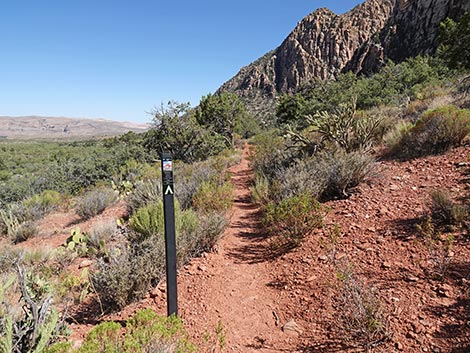 SMYC Trail