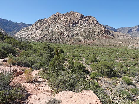 SMYC Trail