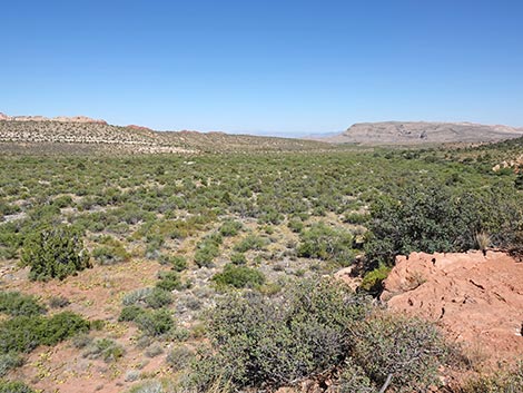 SMYC Trail