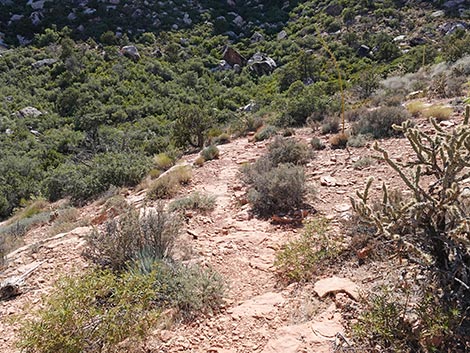 SMYC Trail
