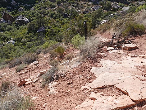 SMYC Trail
