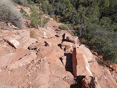 SMYC Trail