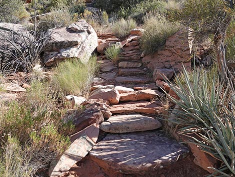 SMYC Trail
