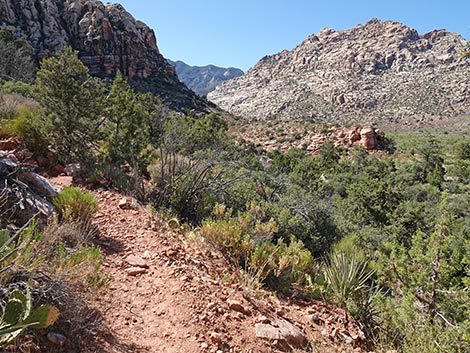 SMYC Trail