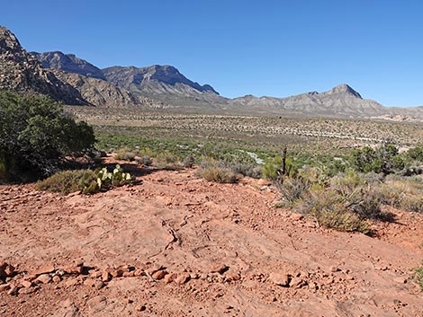 SMYC Trail