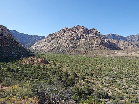 SMYC Trail