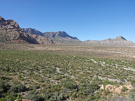 SMYC Trail