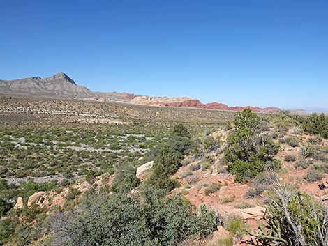 SMYC Trail