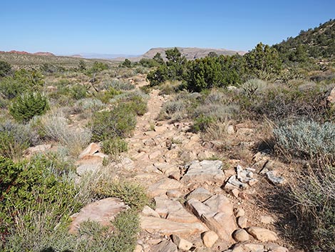 SMYC Trail