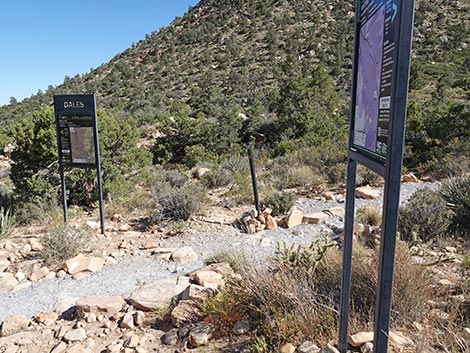 SMYC Trail