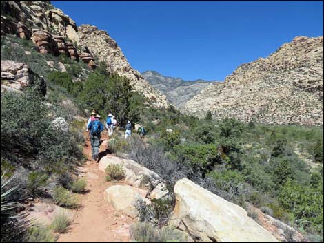 Escarpment Trail