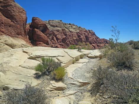 Calico Hills Trail - Sandstone Quarry to Calico 1