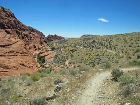 Calico Hills Trail - Sandstone Quarry to Calico 1