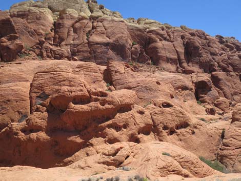 Calico Hills Trail - Sandstone Quarry to Calico 1