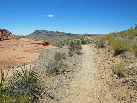 Calico Hills Trail - Sandstone Quarry to Calico 1