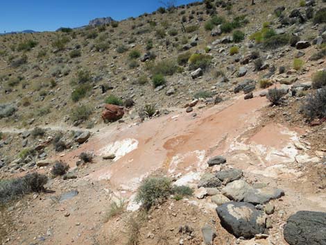 Calico Hills Trail - Sandstone Quarry to Calico 1