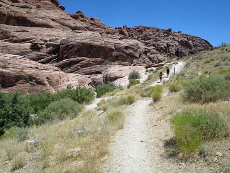 Calico Hills Trail - Sandstone Quarry to Calico 1