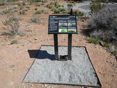 Kraft Mountain Trailhead