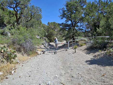 Ranbow Spring Trailhead