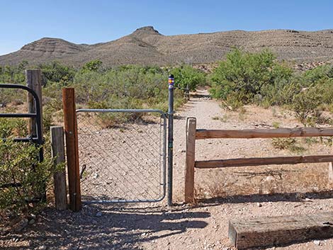 Wheeler Camp Spring Trailhead