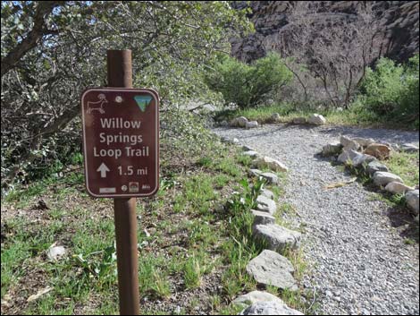 Willow Springs Trailhead