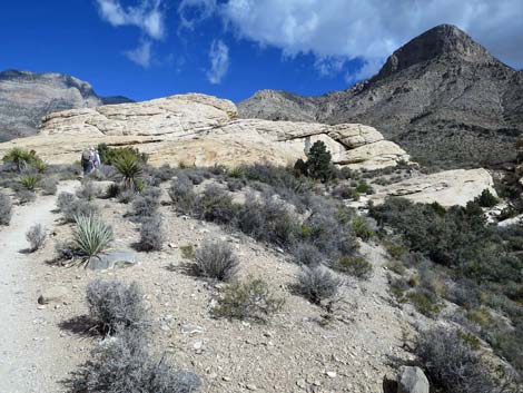 Turtlehead Mountain