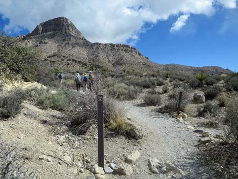 Turtlehead Mountain