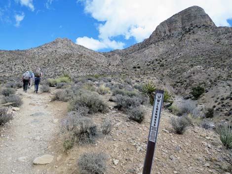 Turtlehead Mountain