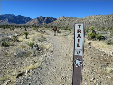 Cottonwood Valley Springs Loop Trail