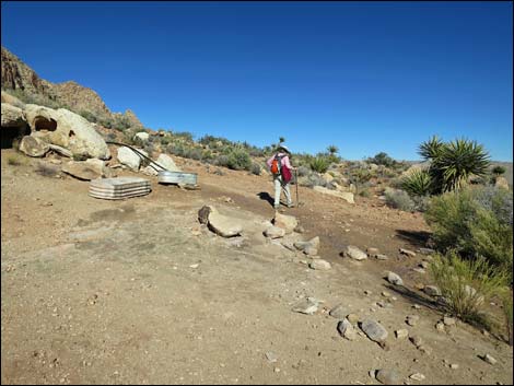 Cottonwood Valley Springs Loop Trail