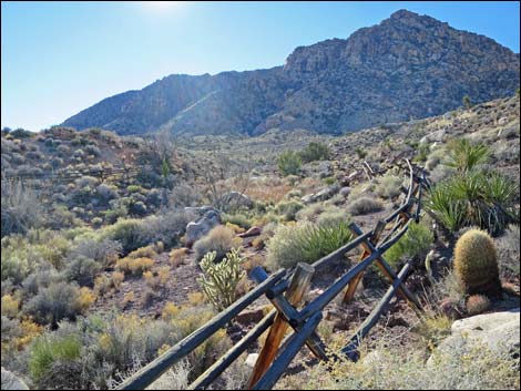 Cottonwood Valley Springs Loop Trail