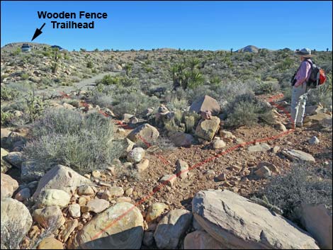 Cottonwood Valley Springs Loop Trail